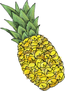 pineapple