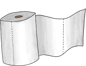 The toilet paper game